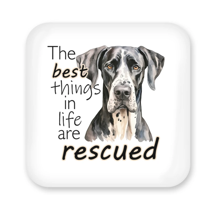 Rescued 50mm Square Magnet